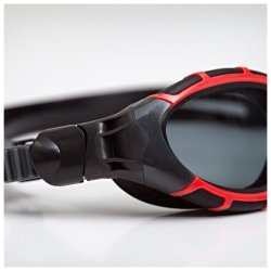 Zoggs Predator Flex Polarized Svmmebrille Small Fit