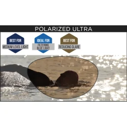 Zoggs Predator Flex Polarized Ultra Sort/Grn Svmmebrille Regular Fit