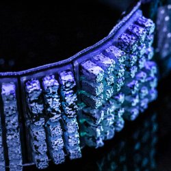 Omius Pandeb�nd m. K�leelement Sort